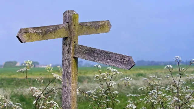 Stimmungsbild zum Beitrag: Es wird ein Holzwegweiser mit drei Richtungsangaben abgebildet.