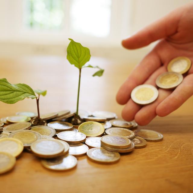 Stimmungsbild zum Beitrag: Es werden Geldmünzen mit kleinen wachsenden Pflanzen abgebildet.