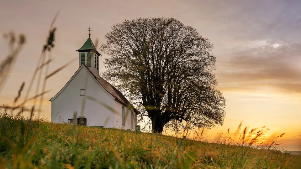 Stimmungsbild zum Beitrag: Es wird eine weiße Kapelle an einem kleinen Abhang mit einem daneben stehenden Baum abgebildet.